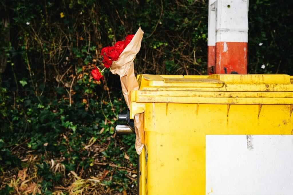 skip hire