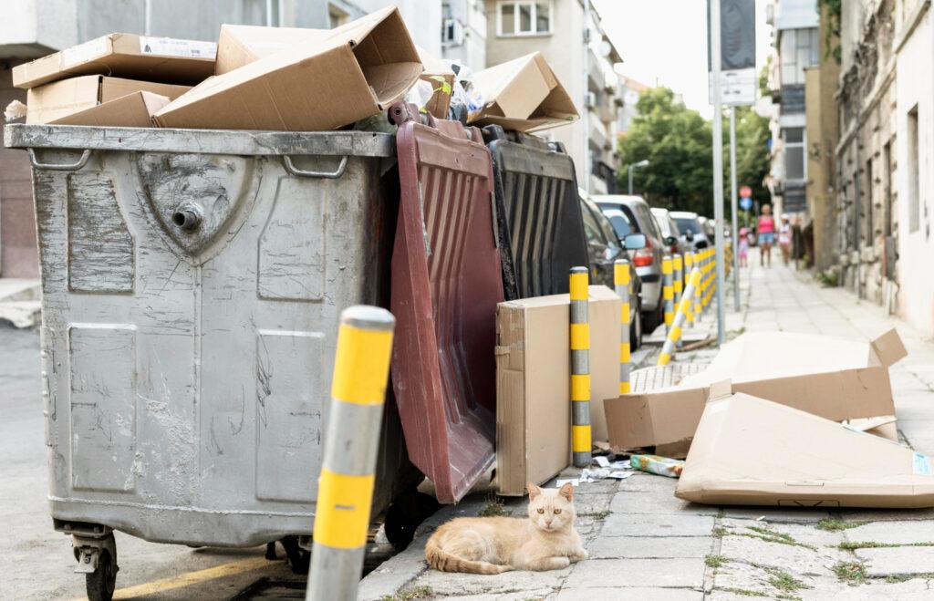renovation waste